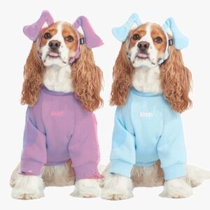Blue’s Clues Costumes from Barkbox